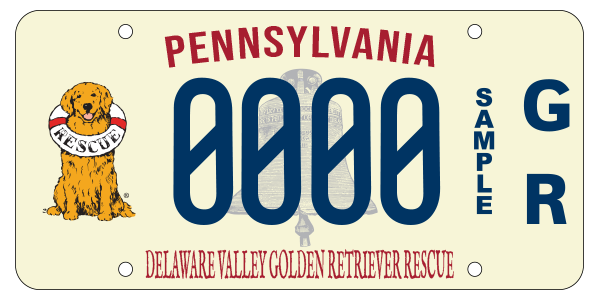 Specialty Fundraisers