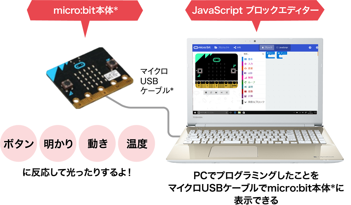 dynabookわくわく活用特集サイト | dynabook（ダイナブック公式）