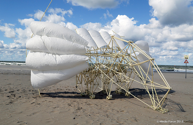 Theo Jansen | ECHIZEN WASHI