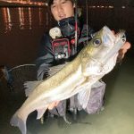 ニンベン修行記】vol.17 スピードハウンド93MLL | ECLIPSE