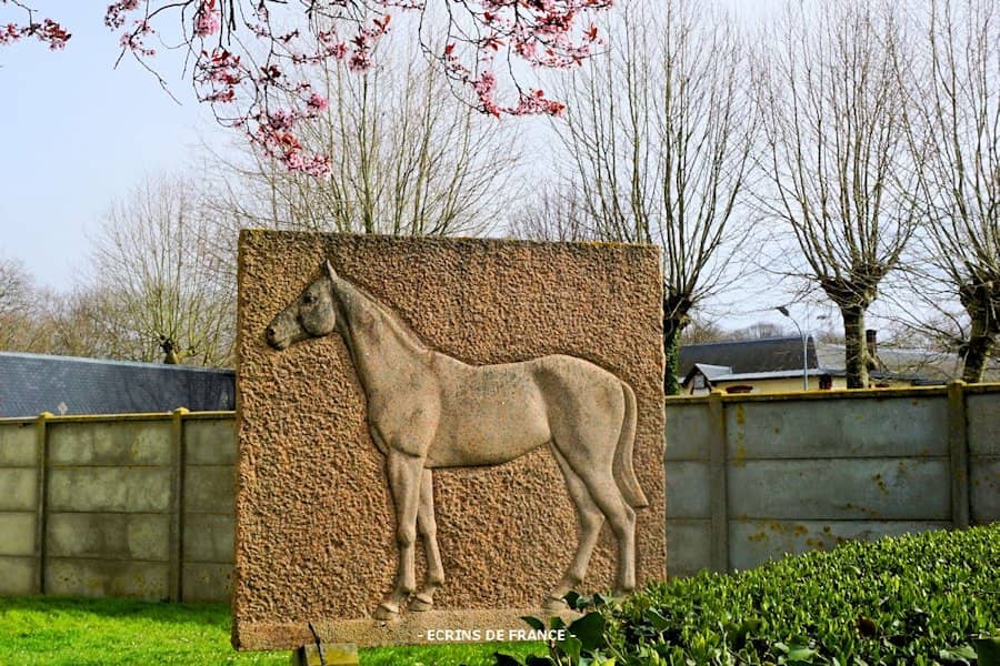 そうだ、馬が好きならドーヴィルへ行こう！