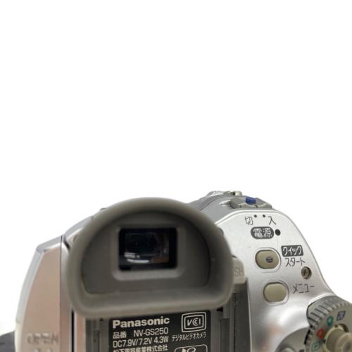 Panasonic (パナソニック) デジタルビデオカメラ 2005年製 NV-GS250