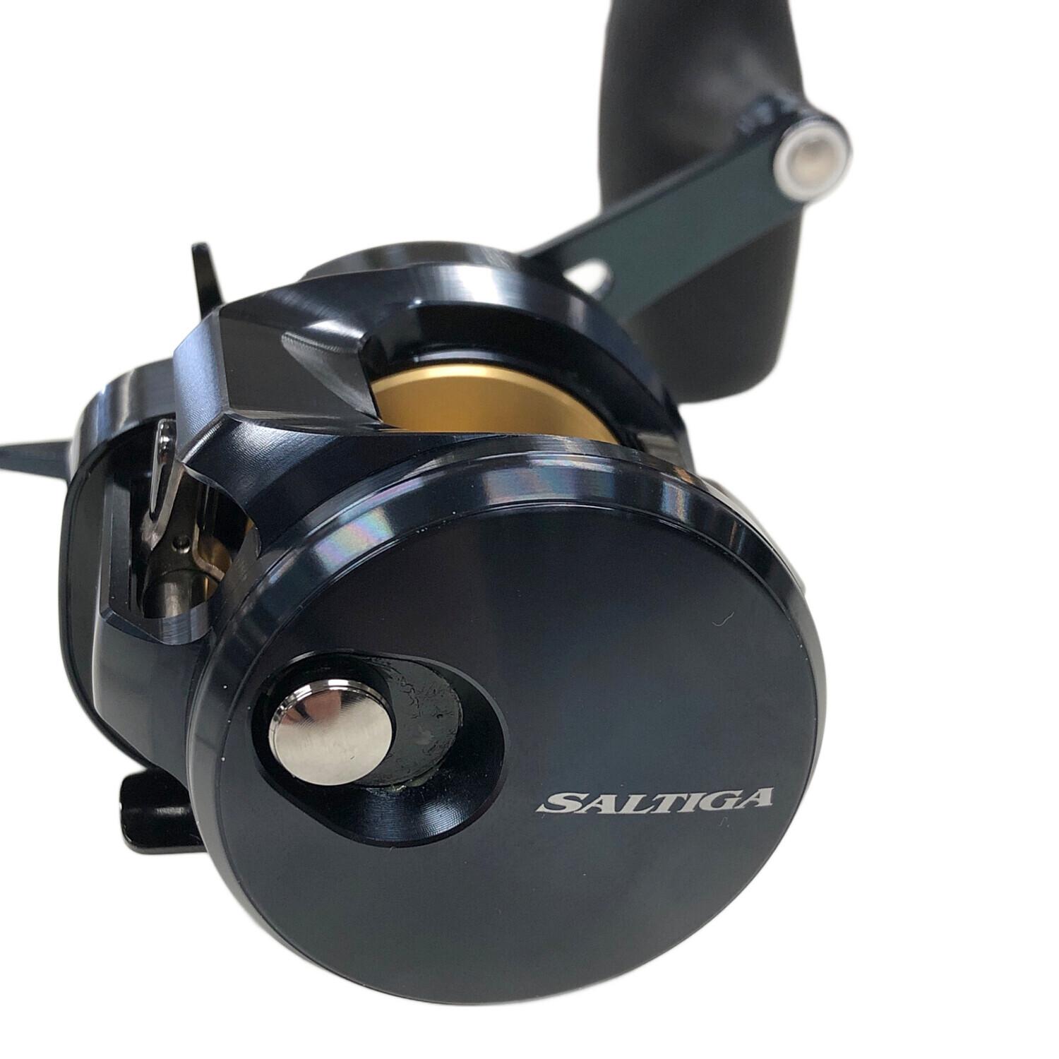 DAIWA (ダイワ) ベイトリール 25 SALTIGA 300H (ソルティガ) 右