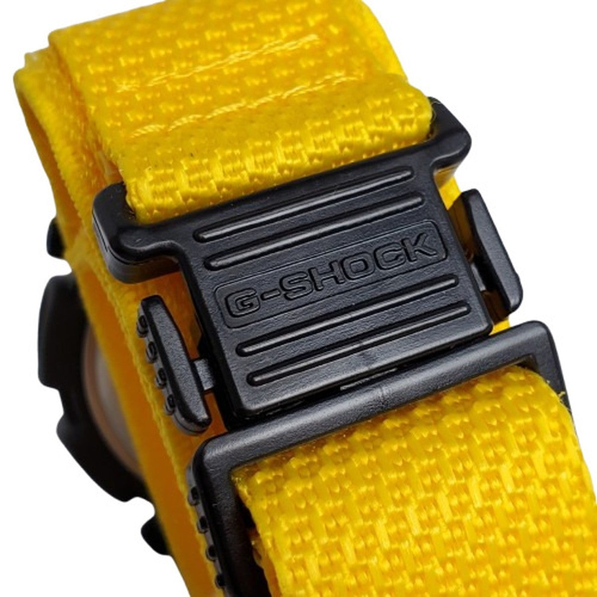 DW-8800 agnes b – G-BRIDGES