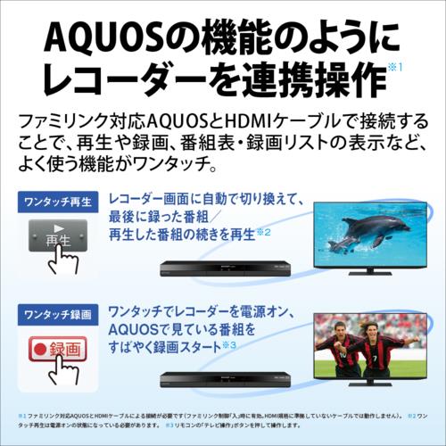 シャープ(SHARP) 2B-C10GW1 AQUOS アクオス ブルーレイディスク