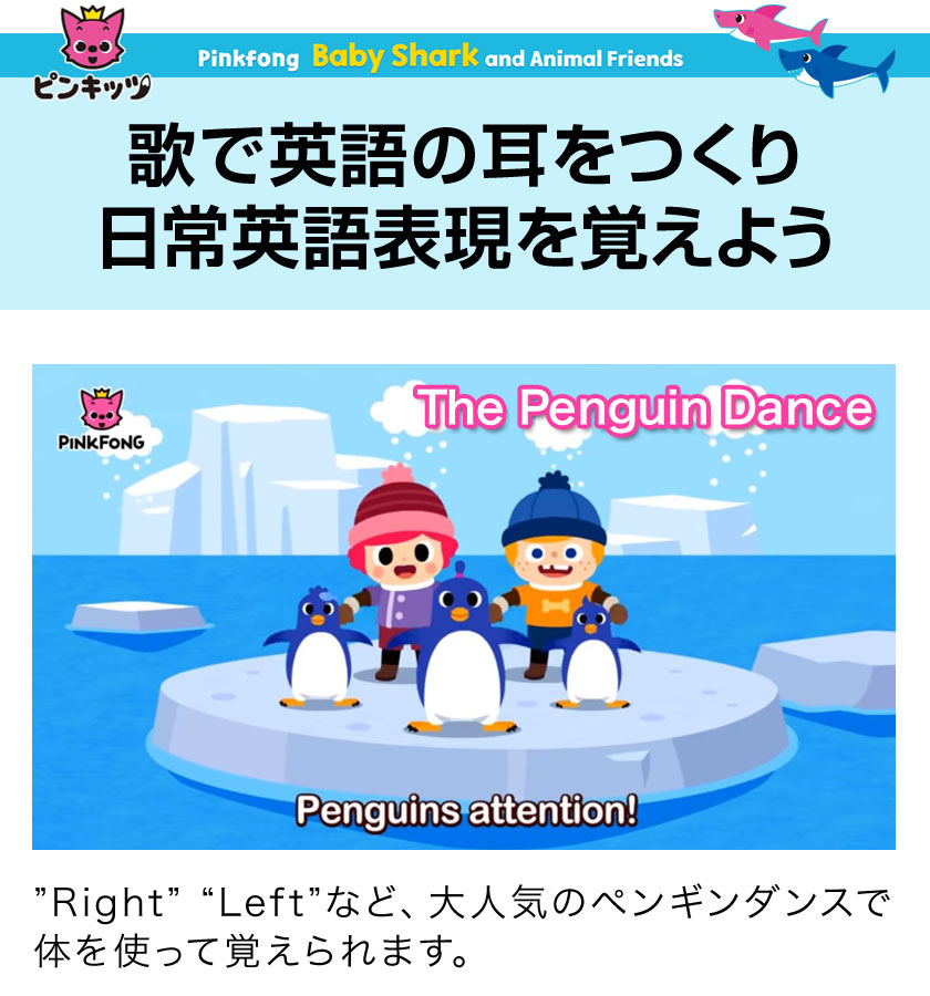 Pinkfong Baby Shark and Animal Friends DVD ベイビーシャーク | 英語