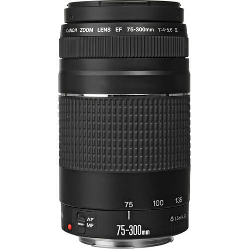 Lente Canon EF 75-300mm f/4-5.6 III - eMania Foto e Video