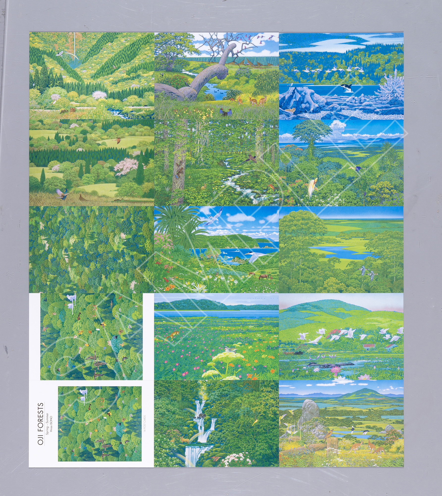 ポストカード集 - 磯野宏夫 森の画集