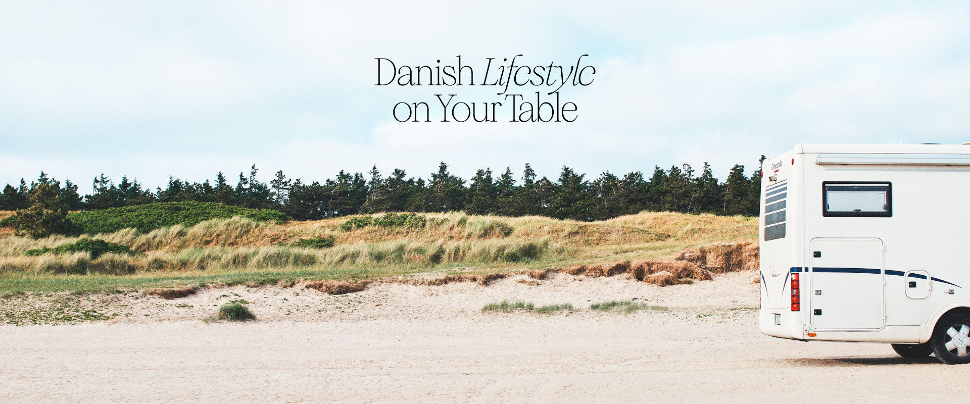 2309.jpg?v=1730293286&width=1500