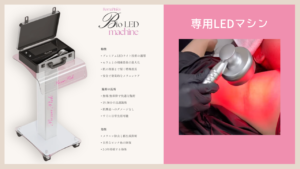 ローマピンクの導入方法は？費用や導入方法、代理店をご紹介 - 【公式