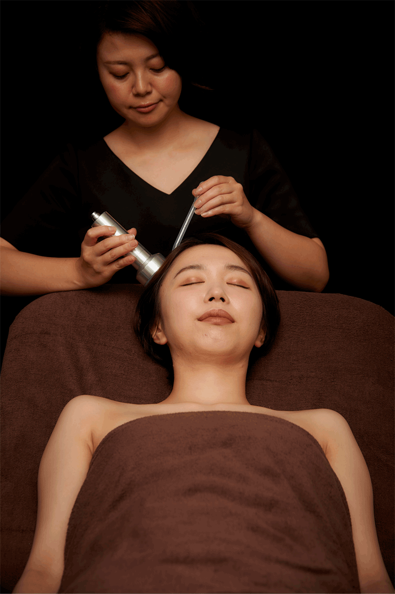 エステ機器メーカー プロラボソリューションの業務用マシン | ESTHE