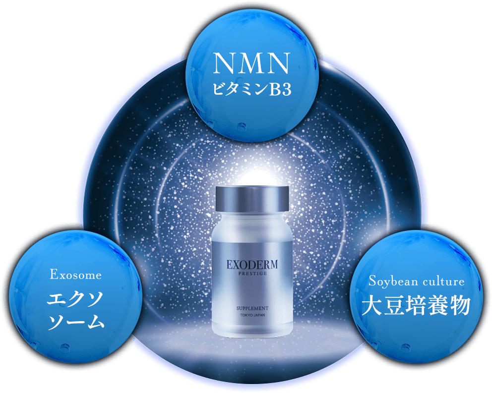 インダーム・エクソダームシリーズ｜株式会社 エステツイン