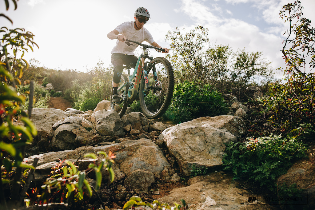 Review: Niner's 2019 RIP 9 RDO 29 - Pinkbike