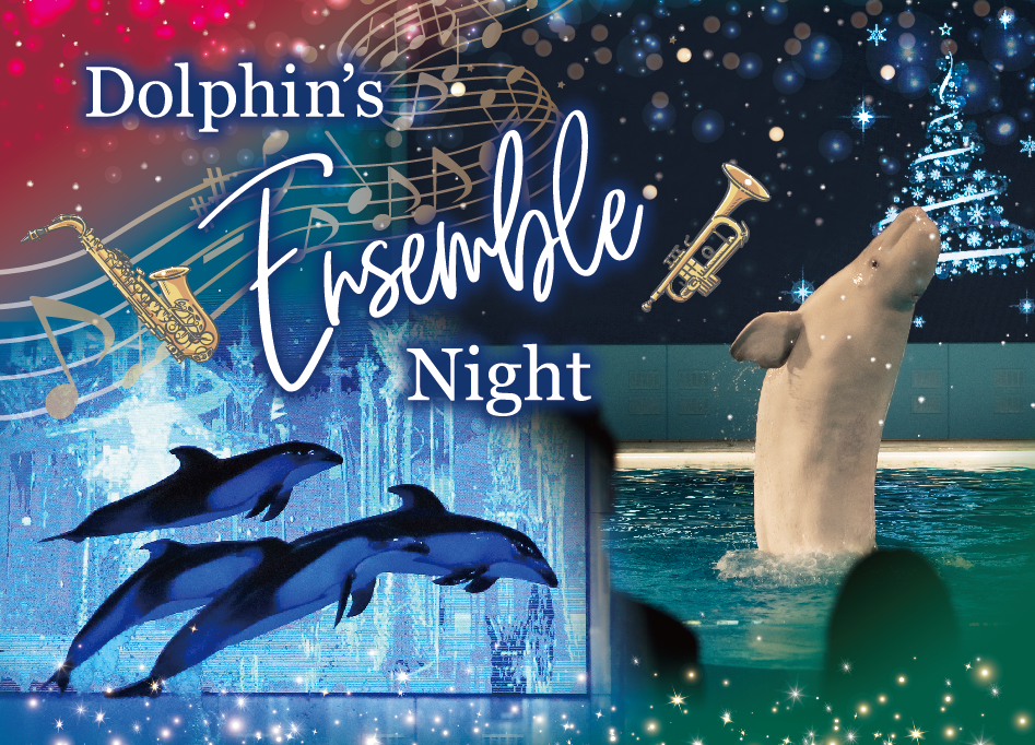 横浜・八景島シーパラダイスで2日間限定イルカショー「Dolphin's