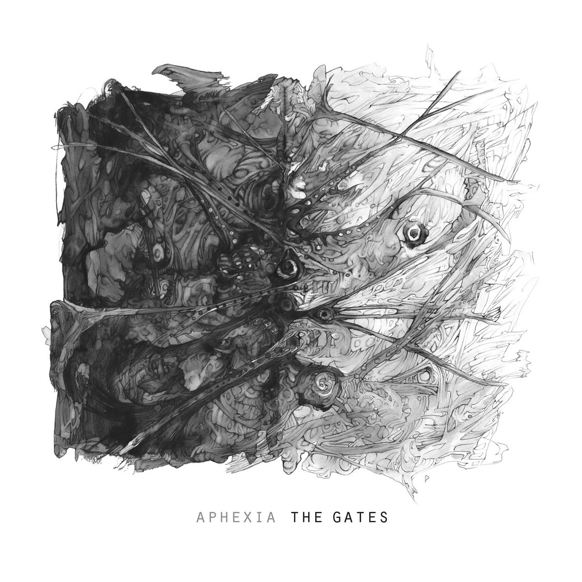 The Gates | Aphexia | Raumklang Music