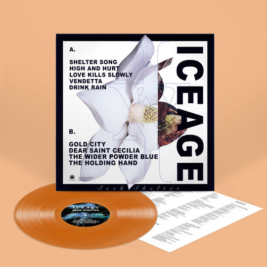 Seek Shelter | Iceage