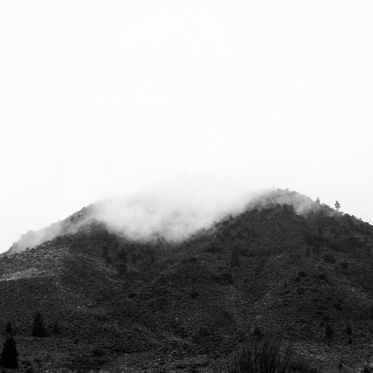 Deprive | Disfiguring The Goddess