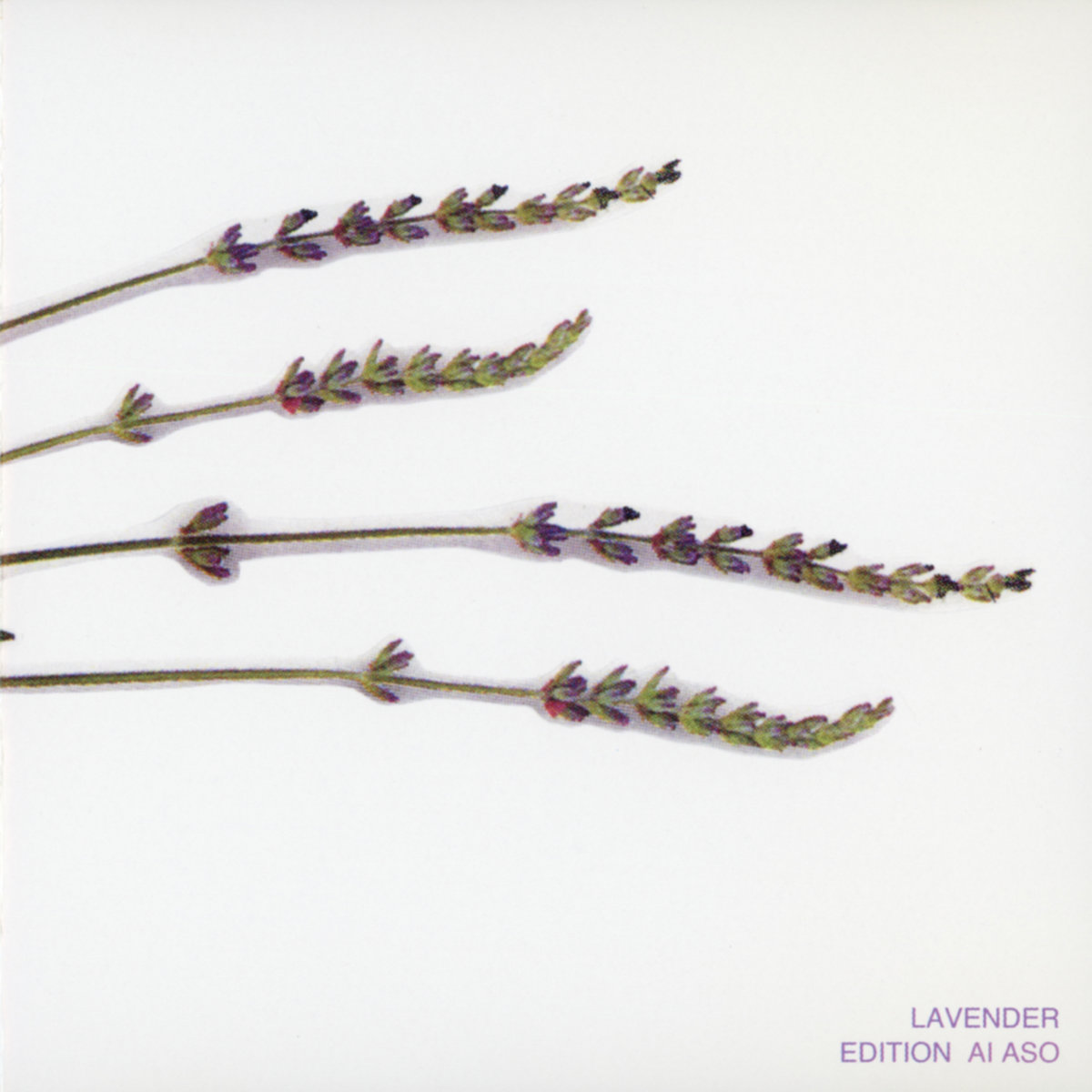 ラヴェンダー・エディション / LAVENDER EDITION | 朝生 愛 / Ai Aso