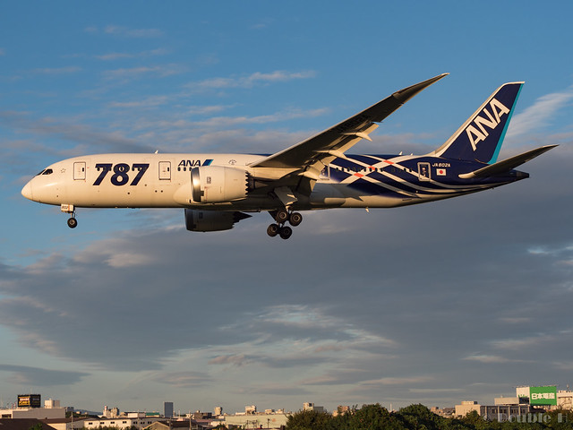 さようなら鯖次郎&鯖塗装 ～ANA B787 ローンチ記念塗装ラストフライト