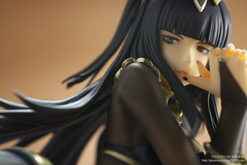 ファイアーエムブレム 覚醒 サーリャ レビュー（2014グッドスマイル