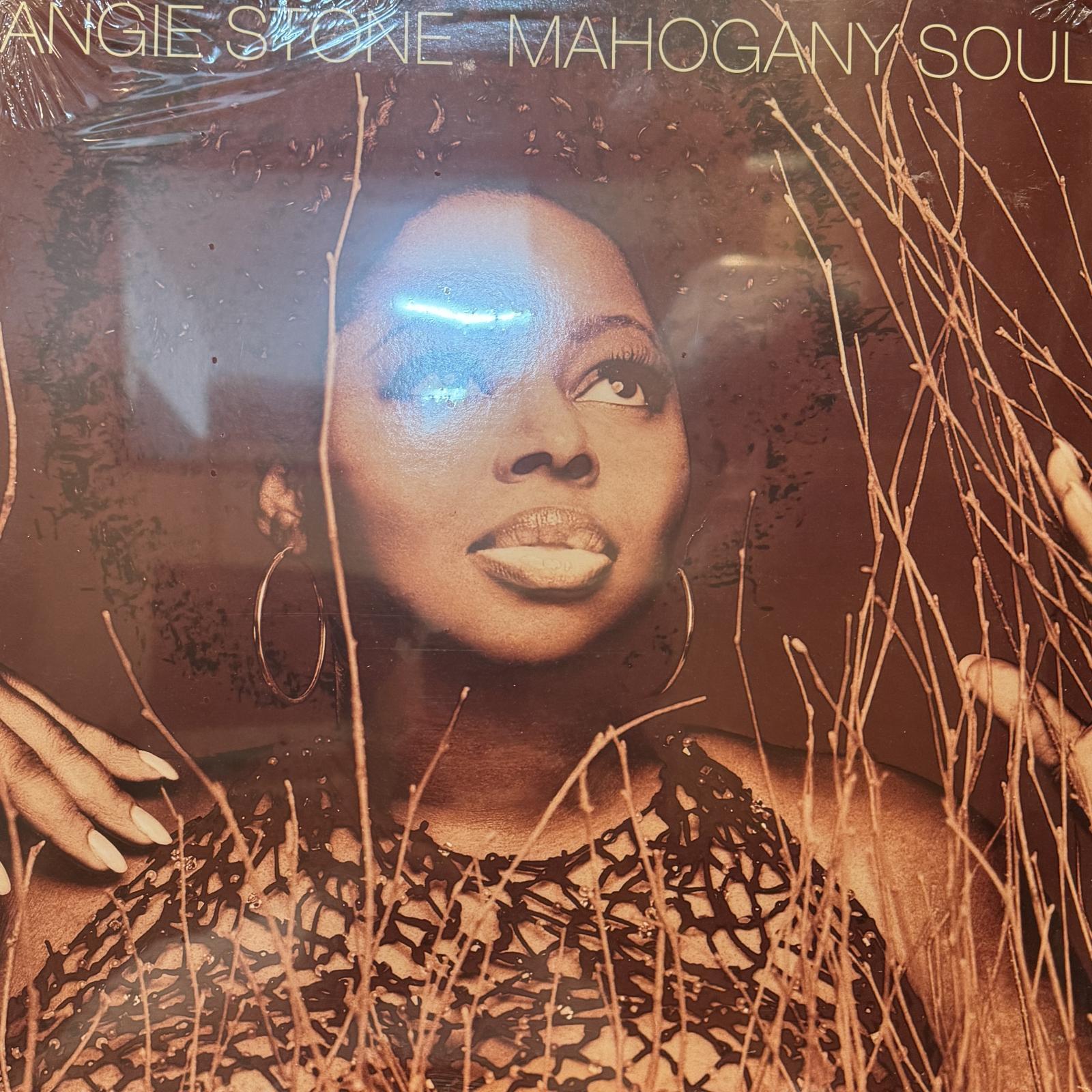 Angie Stone - Mahogany Soul (2LP) (奇跡の新品未開封!!) - FATMAN