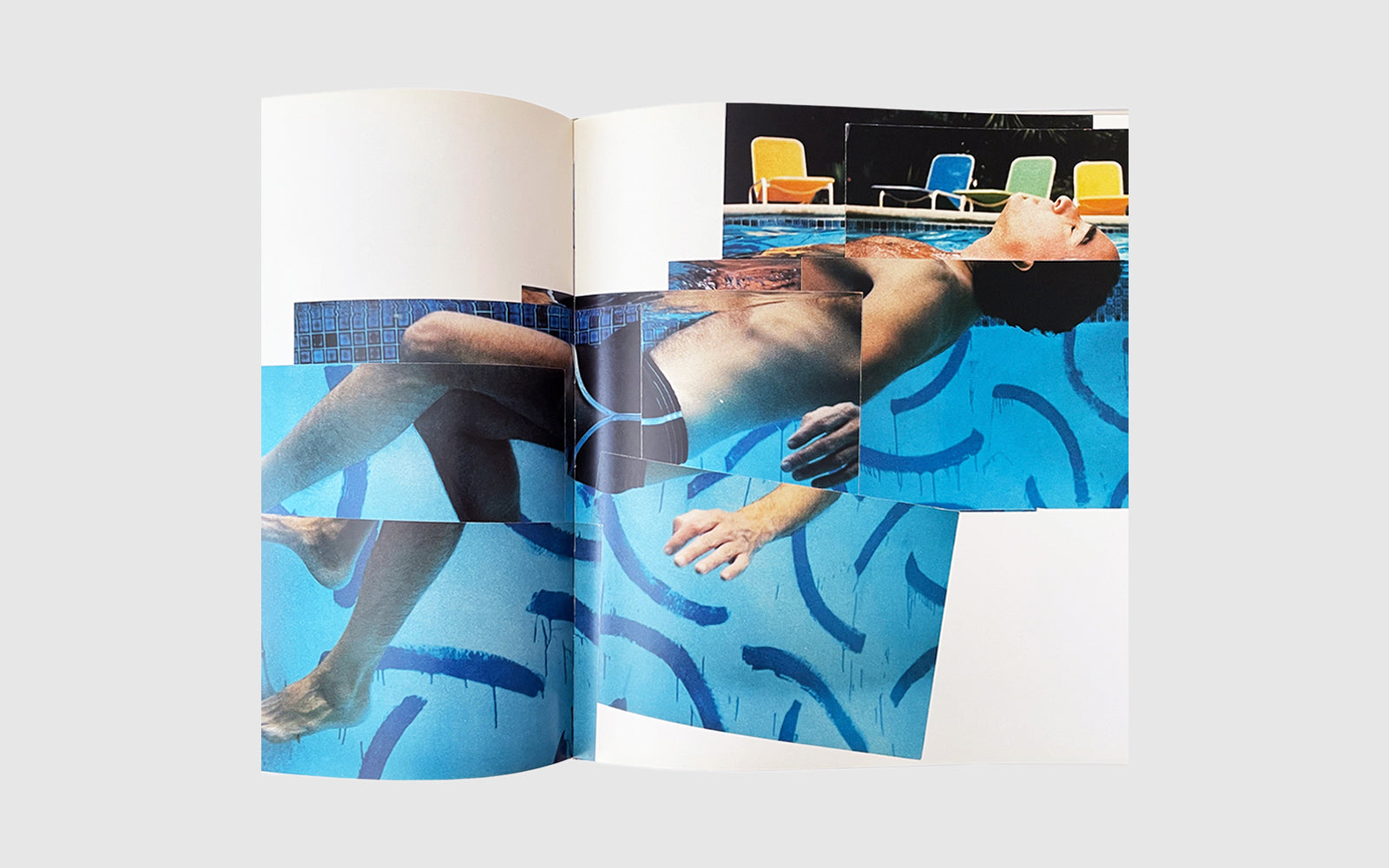 FAW [Cameraworks, David Hockney - FAW Books]