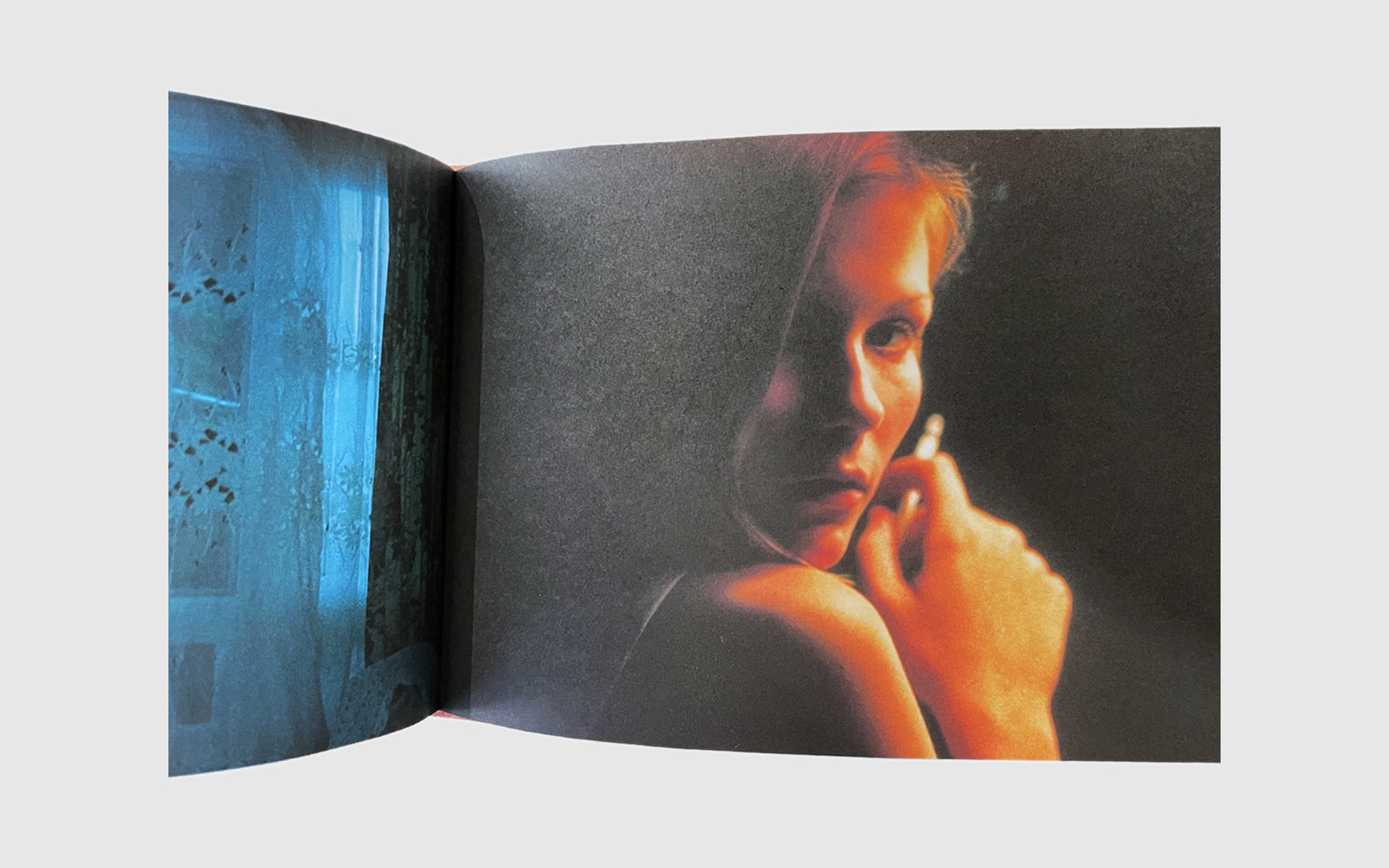 FAW [The Virgin Suicides, Sofia Coppola - FAW Books]