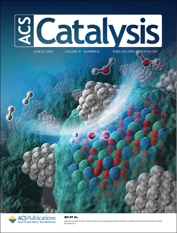 柿沼克良教授らの論文が米国化学会誌に掲載され、裏表紙にも採用され