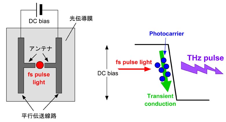 テラヘルツ電磁波パルスの発生と検出
