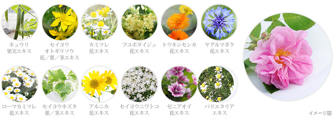 Abundantia ☆ Cosmetics Site / アブンダンティア エッセンス