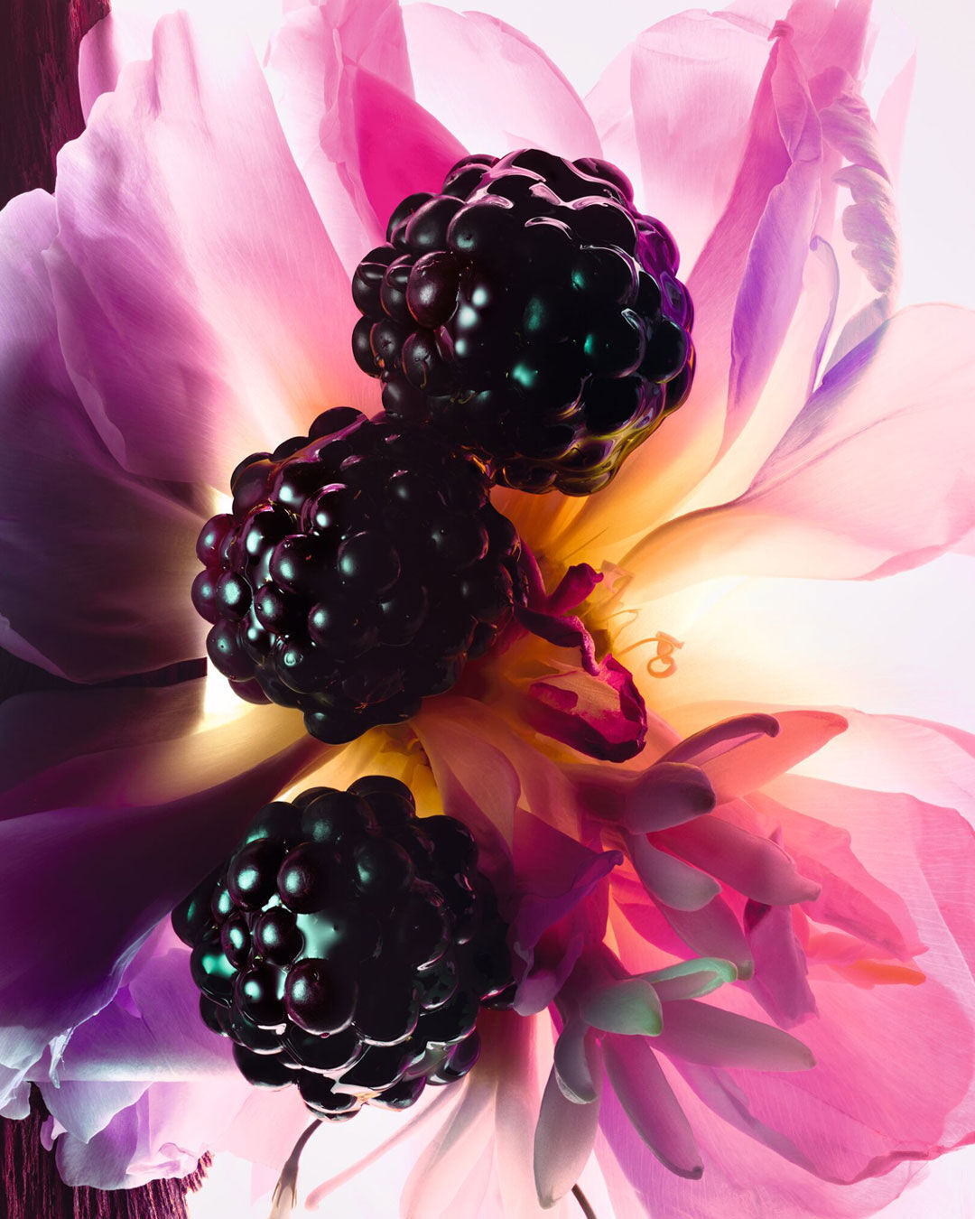 Miss Dior Essence di Dior ~ Nuove Fragranze