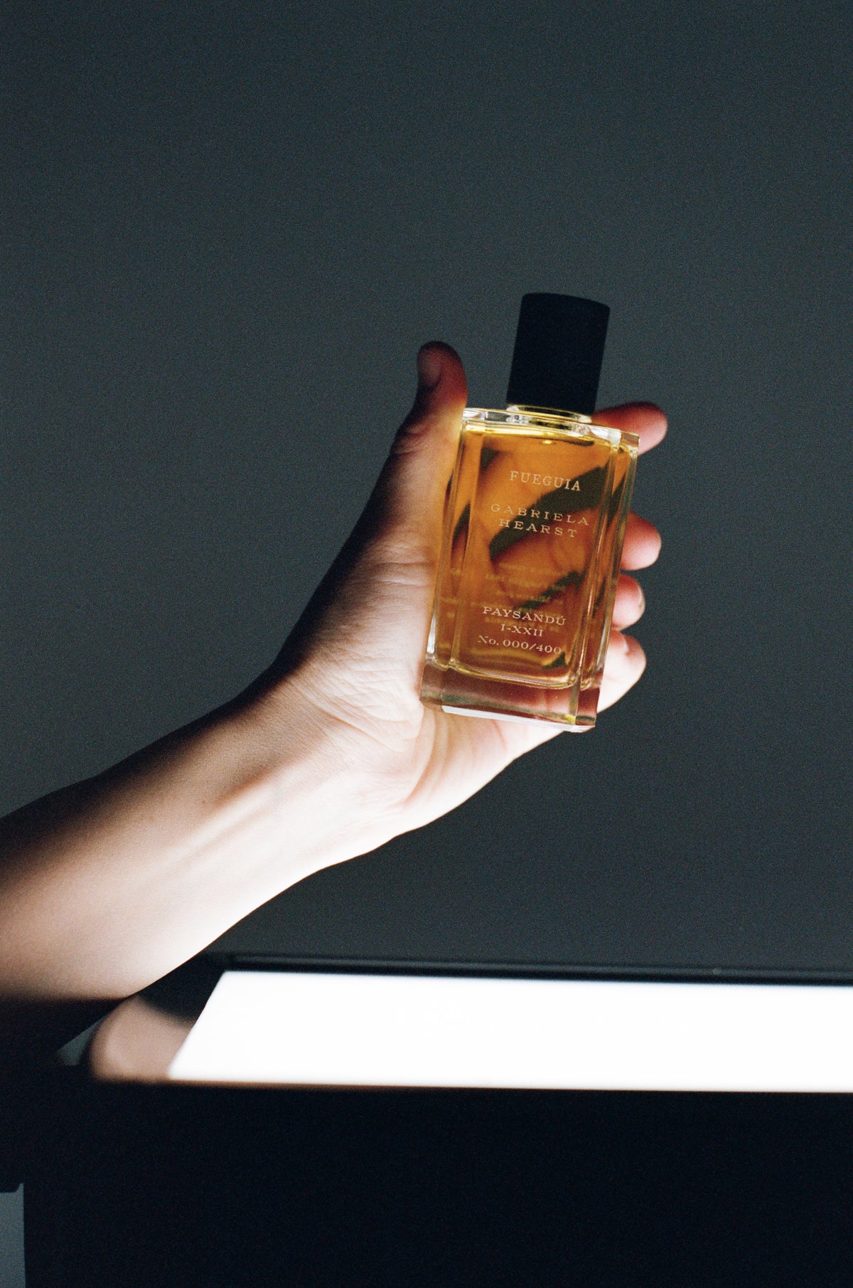 Fueguia 1833 x Gabriela Hearst: New York & Paysandú ~ New Fragrances