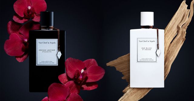 Orchid Leather Van Cleef & Arpels perfume - a fragrance for women
