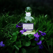 Bois de Violette Serge Lutens perfume - a fragrance for women and