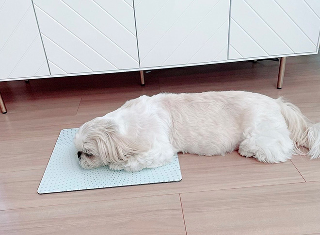 ご自宅内の電磁波対策に「HOME SMARTER (ホームスマーター)」