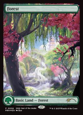 Foil】《森/Forest》(巳年プロモ)[流星マーク] 土地 | 日本最大級 MTG