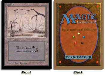 沼/Swamp》A（Two Branches） Dan Frazier[IE] | 日本最大級 MTG通販