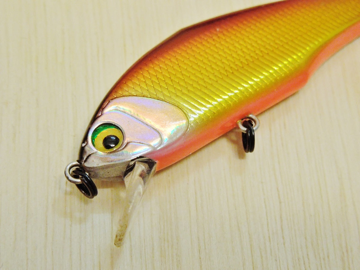 Dインサイトのおすすめカラー8選！Dコンとの違いは？ – Fish Paradise