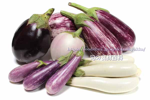 ナス（茄子／なす）の種類一覧：旬の野菜百科