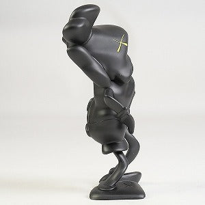 KAWS カウズ ×MEDICOM TOY KAWS COMPANION (ROBERT LAZZARINI version