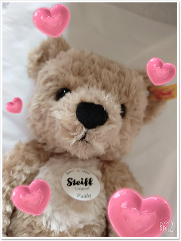 日本限定 シュタイフ リトルサンタ 2021 24cm EAN679070