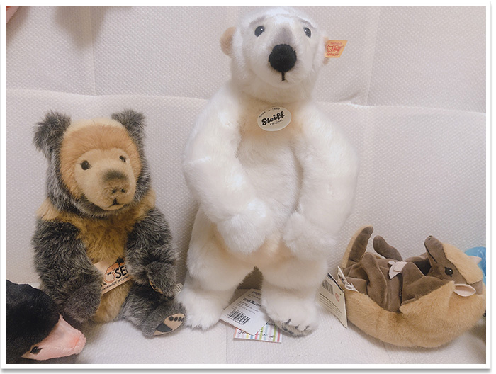 シュタイフ 日本限定 日本の名花シリーズ テディベア なでしこ 28cm