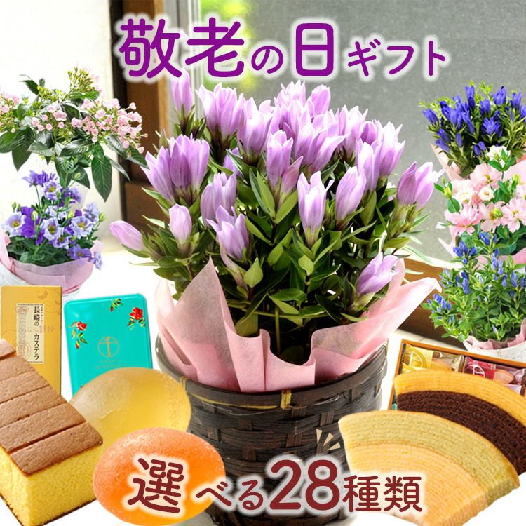 敬老の日ギフト 2025 選べる花鉢とスイーツセット FKKE | Flower