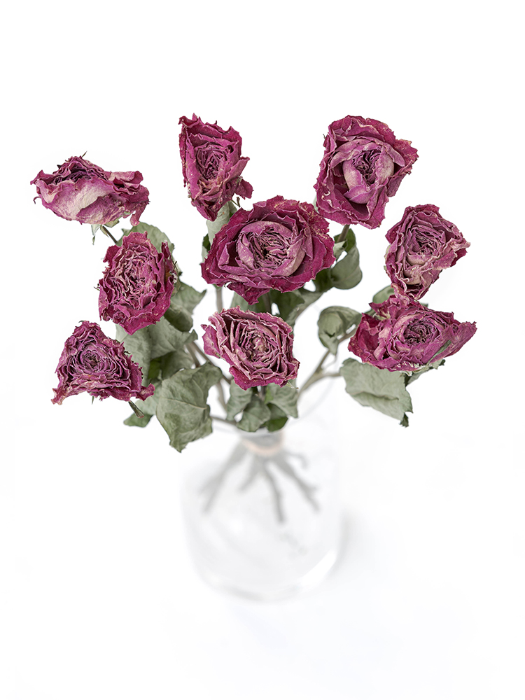 ドライ】バラ オール4ラブ＋【ピンク/60cm】｜Flower Smith Market