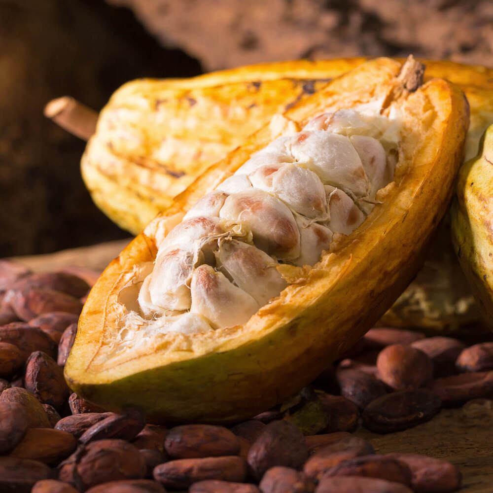 冷凍ピューレ カカオ400g ｜ フルッタフルッタ公式オンラインストア