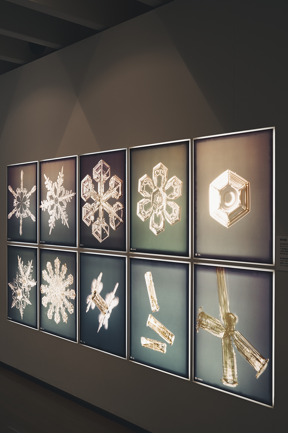 雪と氷の神秘を体験する「中谷宇吉郎 雪の科学館」 | ランドネ