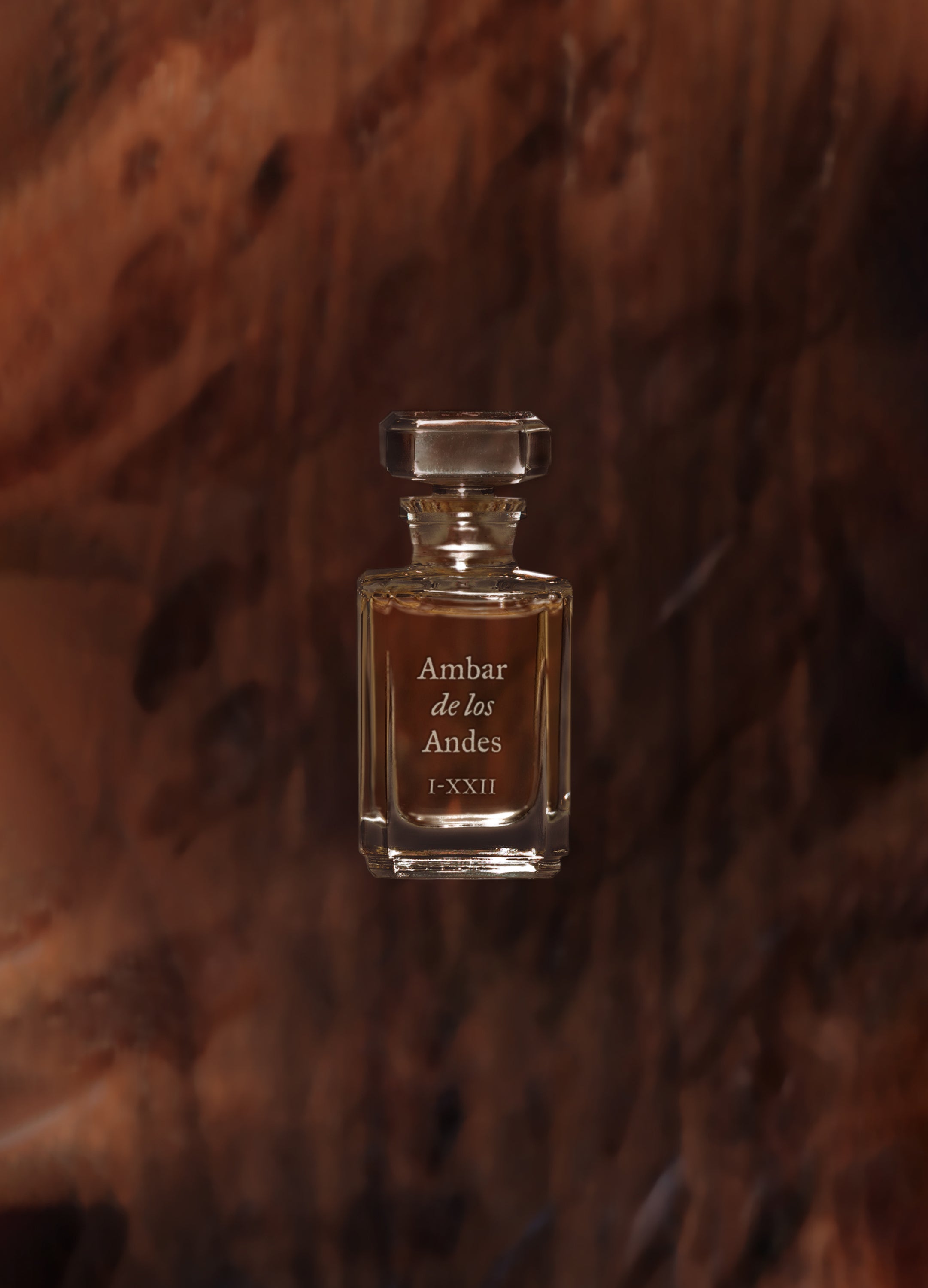 FUEGUIA 1833 | Ámbar de los Andes｜アンバル デ ロス アンデス