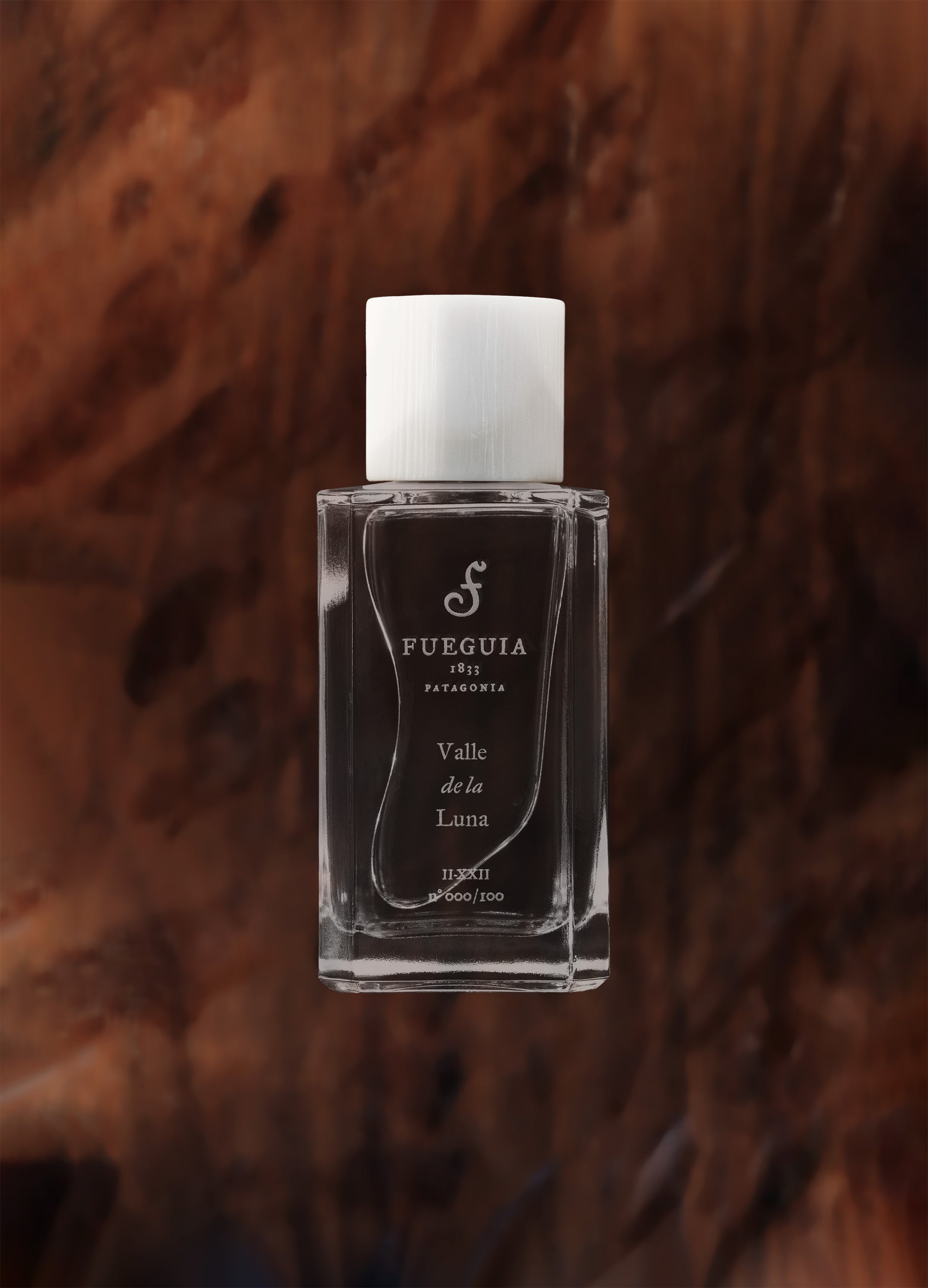 FUEGUIA 1833 | Valle de la Luna｜バジェ デ ラ ルナ – FUEGUIA 1833