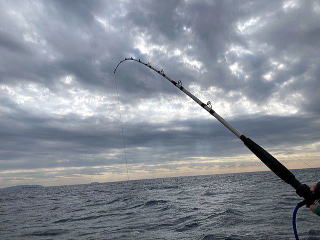 フジモリ・フィッシング・タックル FFTヤリイカ竿スルメイカ竿