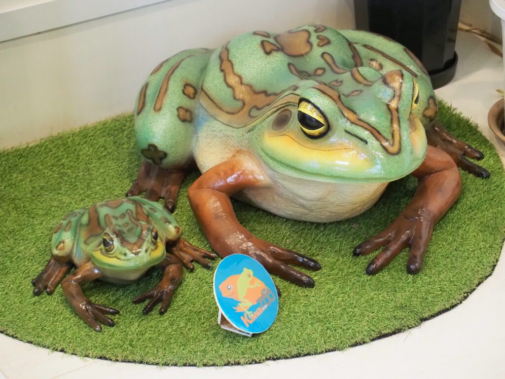 カエル王国静岡！念願のKawazooへ｜カエルスポット - 福井かえる道。